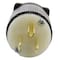 Ac Works Straight Blade Plug, 5-15P, 15 A, 125V AC, 2 Pole, Screw Terminals, Grounded AS515P - alternate 2